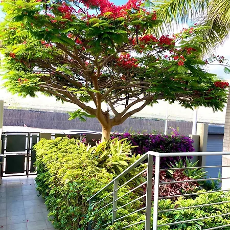 Miradoiro Apartamento *